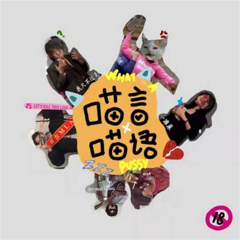 What A Pussy Podcast On Spotify