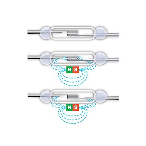 Que son los Interruptor magnético Reed switch