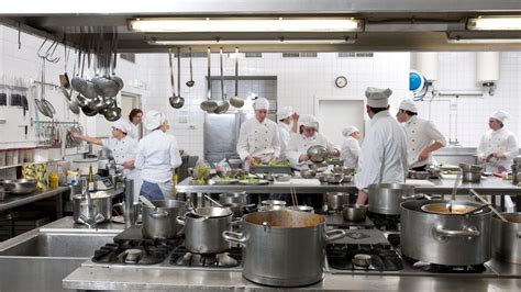 Ventajas Y Desventajas De Estudiar Gastronom A Estudiar Cocina