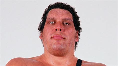 The Andre The Giant Biography Set to Be Released Next Week - Details - eWrestlingNews.com