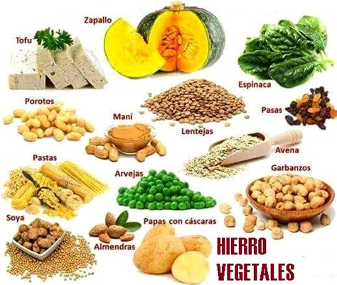 Alimentos Vegetales Ricos En Hierro Reino Vegetal