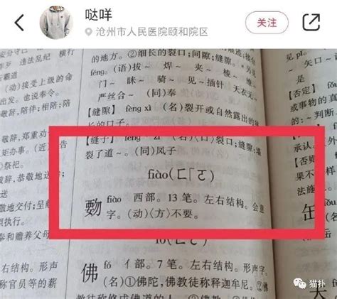 【沙雕图】网红直播开美颜滤镜的前后对比？真实到榜一大哥连夜扛着火车站跑了！