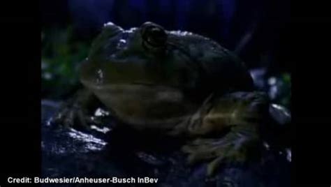 Super Bowl classic commercial: Budweiser “Frogs” | Watch News Videos Online