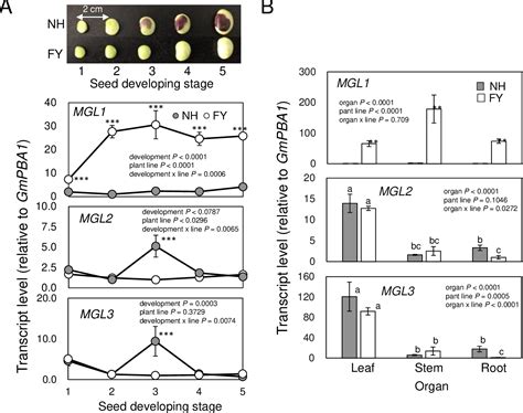 Figure From Suppressed Methionine Lyase Expression Causes