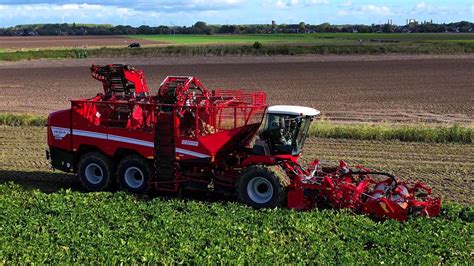 Sugar Beet Harvest Suikerbieten Rooien Grimme Rexor 6300 Platinum