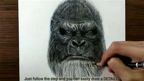 How To Draw Kong King Kong Step By Step Easy Tutorial And Tips For Bigginer Artist Rold Art