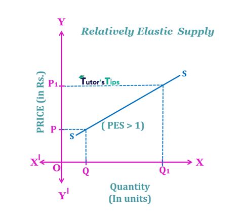 The Elasticity Of Supply Meaning Types And Methods Tutors Tips