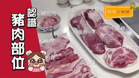 料理小秘訣 認識豬肉部位 Tips On Getting To Know Parts Of Pork Youtube