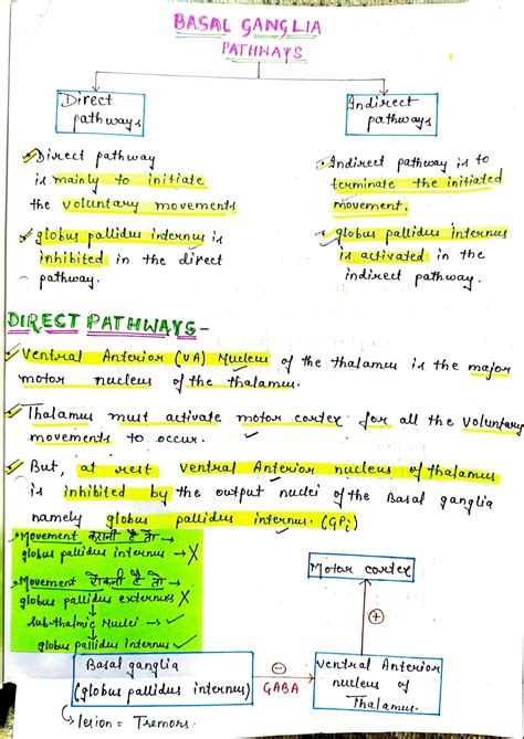 Solution Basal Ganglia Studypool