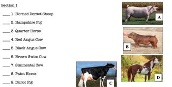 Basic Livestock Breeds Bundle by Mrs Freemans AG Class | TPT