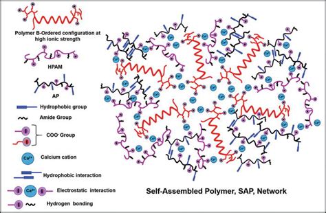 Viscoelasticity Of A Supramolecular Polymer Network And Its Relevance