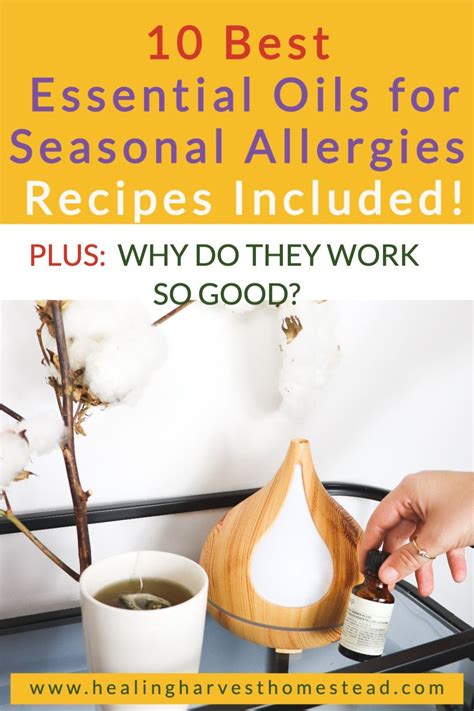 10 Best Essential Oils For Seasonal Allergies And Why They Work Recipes Included Artofit