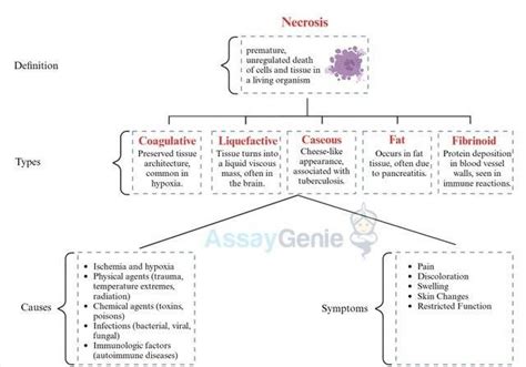 assay genie japan