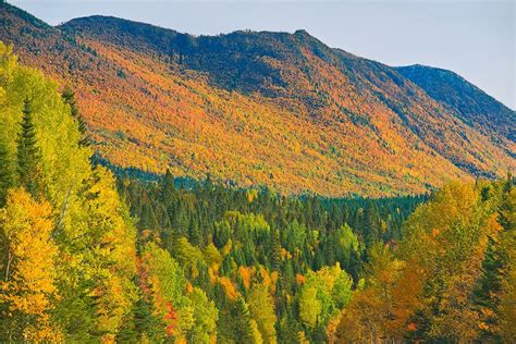 Somerset House - Images. CANADA-QUEBEC-PARC NATIONAL DE LA GASPESIE ...