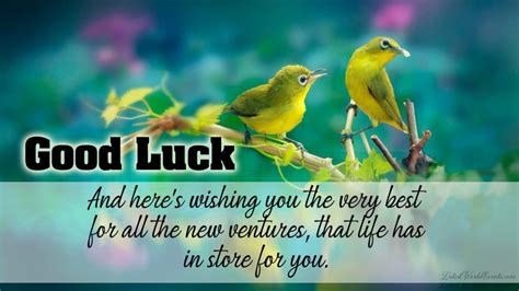 Good Luck Wishes For Future And Good Luck Messages For Best Friend