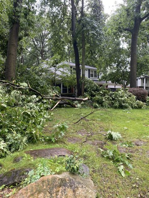 GALLERY: Severe storm damage across Southeast Michigan