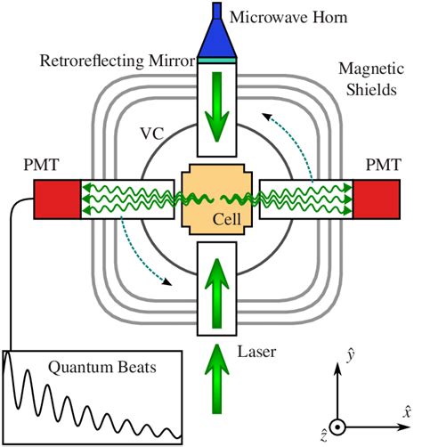 (Color online) A schematic of the experiment. The cell is placed at the ...