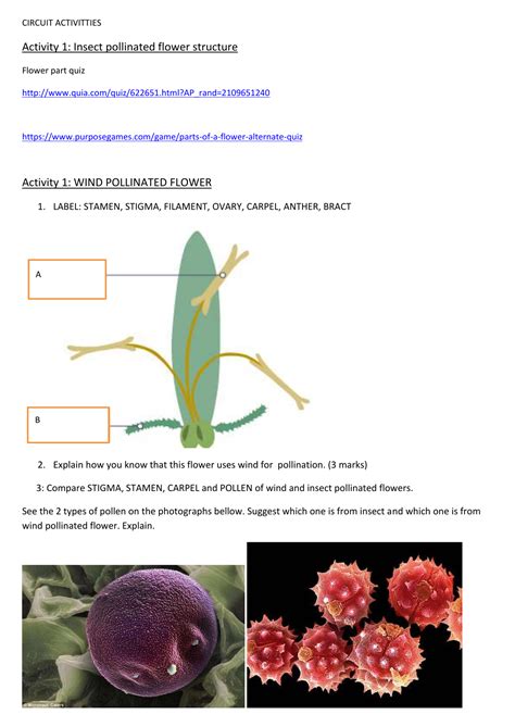 Diagram Of A Wind Pollinated Flower Best Flower Site