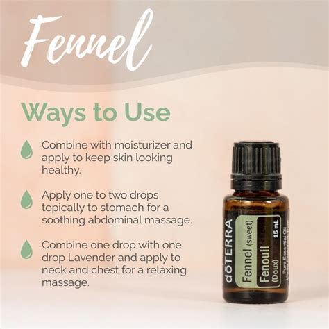 Ways To Use Fennel Essential Oils For Massage Doterra Essential Oils