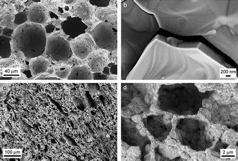 Examples Of A The Overall Porous Microstructure And B A Closer View