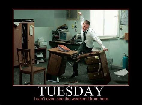 Workplace Happiness: How Happy Tuesday Memes Are Changing the Game - 8lgmskt