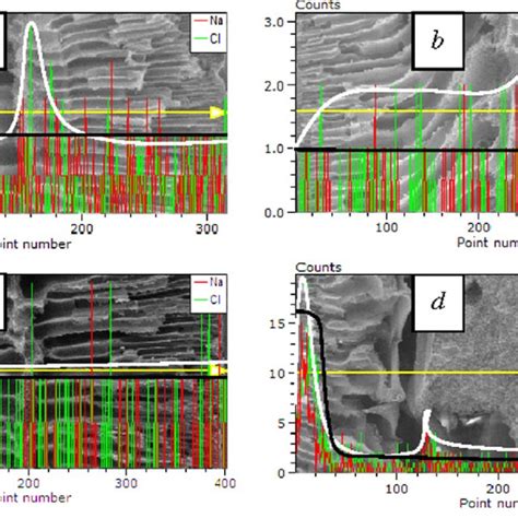 EDX spectra of 800X (a) PEI-12, (b) PEI-12-IC, (c) PEI-15, (d) PES-15 ...