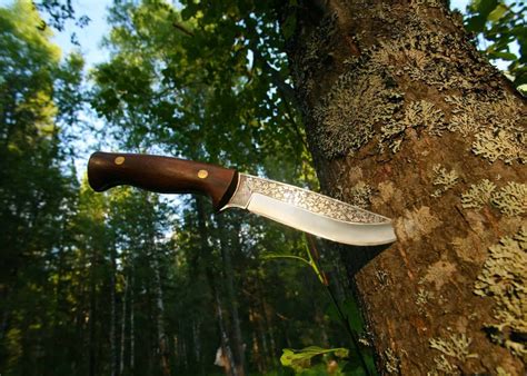 Best Bushcraft Knife in 2024 (REVIEW GUIDE)