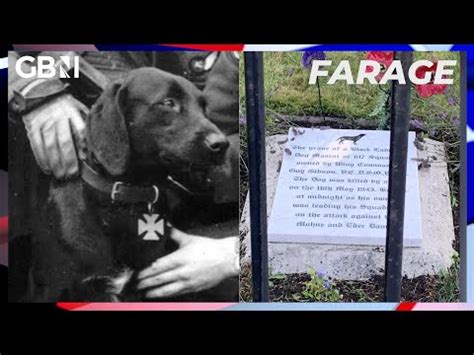 Dambusters Dog: Grave of mascot will remain in place despite pleas to ...