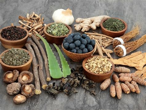 Understanding And Using Adaptogens Healthandlife