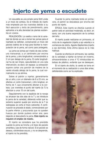 Manual N De Injertos Frutales Pdf