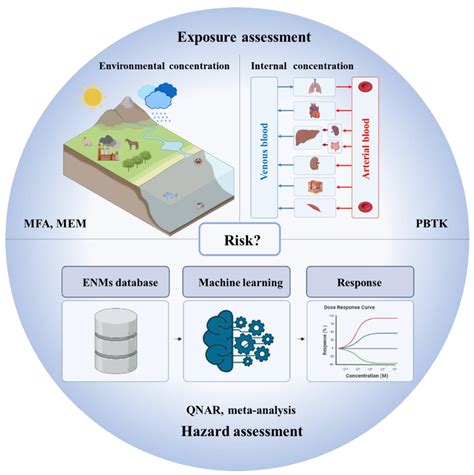 Nanomaterials Free Full Text Computational Nanotoxicology Models