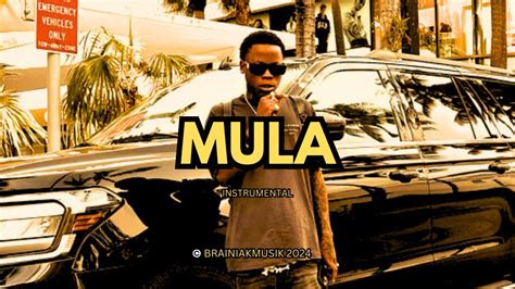 RajahWild X Chronic Law X Masicka Type Beat Mula Dancehall Riddim