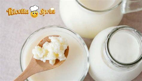 Yogurt O Kefir Qual La Differenza Tra I Due Prodotti Ricettasprint It