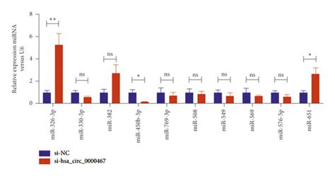 Hsa Circ 0000467 Has Binding Sites With MiR 326 3p A Differential