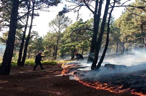 Incendio de vegetación en Lobatera TACHIRA NEWS