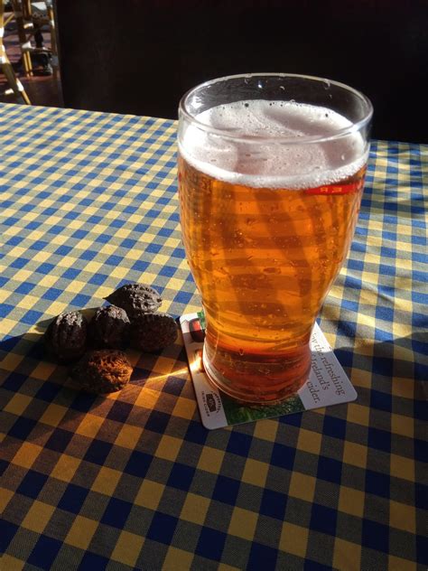 Приют для кошек "Оськин дом" - Я чувствую себя абсолютным идиотом ...