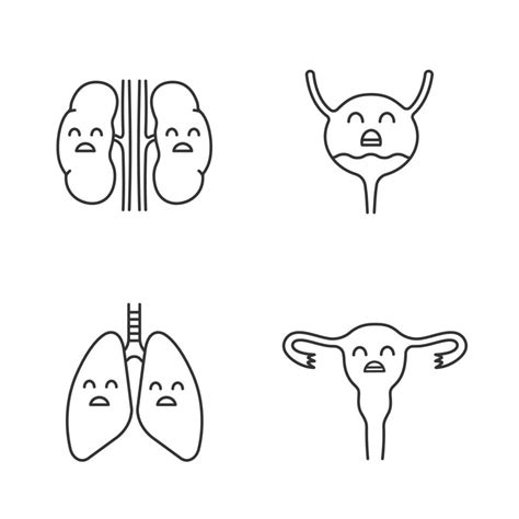 Triest Menselijke Interne Organen Lineaire Iconen Set Dunne Lijn
