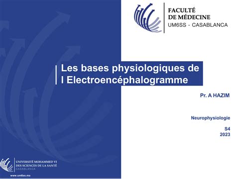 Cours Physiologie Eeg Les Bases Physiologiques De L