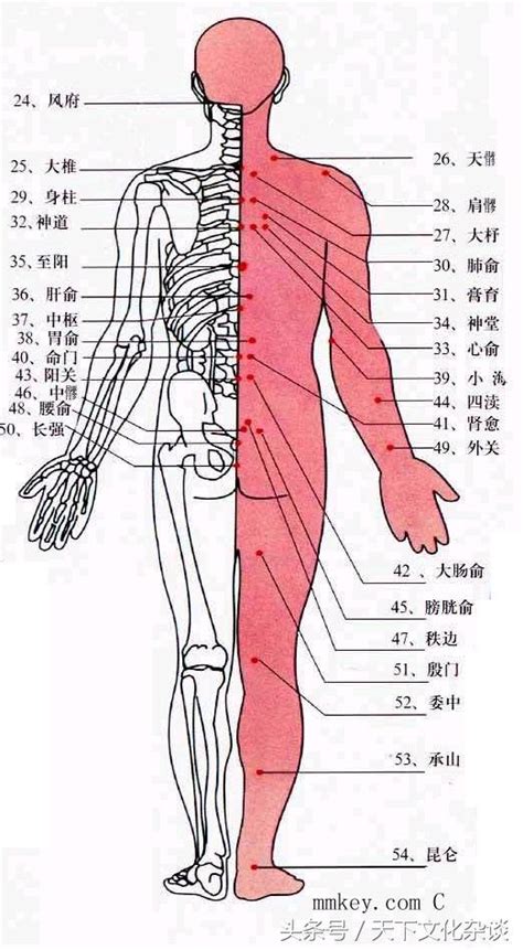 人體穴位全圖解析——超級實用！ 每日頭條