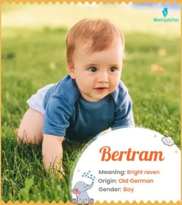 Origin Meaning Other Facts About Baby Name Bartram