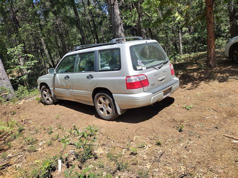 Foresters look best in the forest : r/SubaruForester