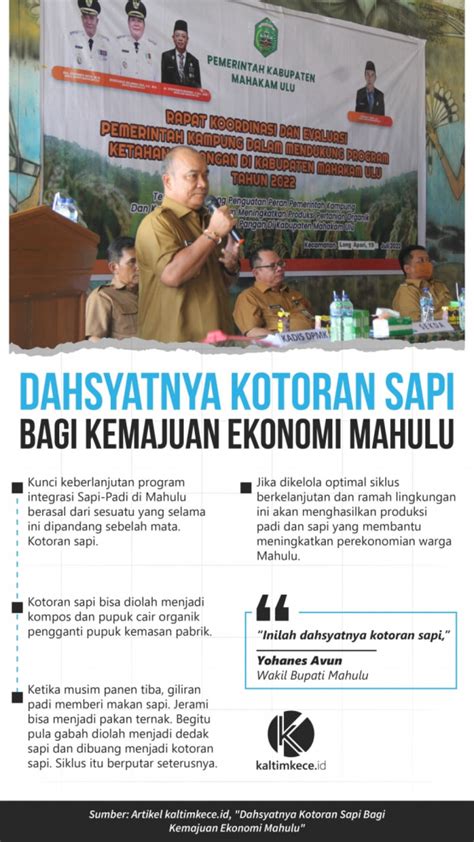 Infografik Dahsyatnya Kotoran Sapi Bagi Kemajuan Ekonomi Mahulu