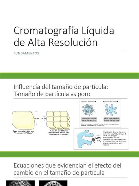 Cromatografía Líquida de Alta Resolución Principios | PDF