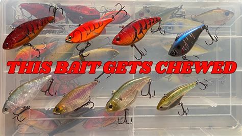 Top Baits For Fall Bass Fishing Final Episode Lipless Crankbaits