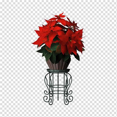 Poinsettia Pot Stand Red Poinsettias Flower Plant On Brown Pot