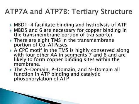 Copper Transporters Ctr1 Ctr2 Atp7a And Atp7b Ppt Download