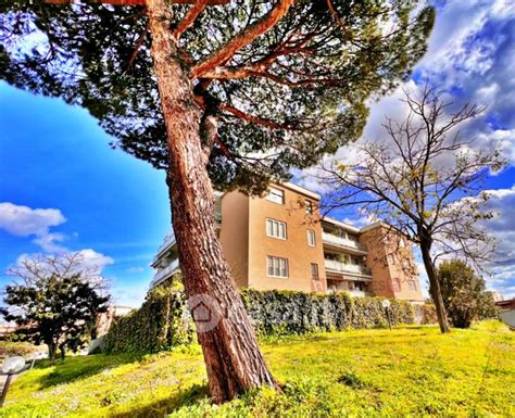 Case Con Terrazzo In Vendita Nel Quartiere Torre Maura Di Roma Casa It