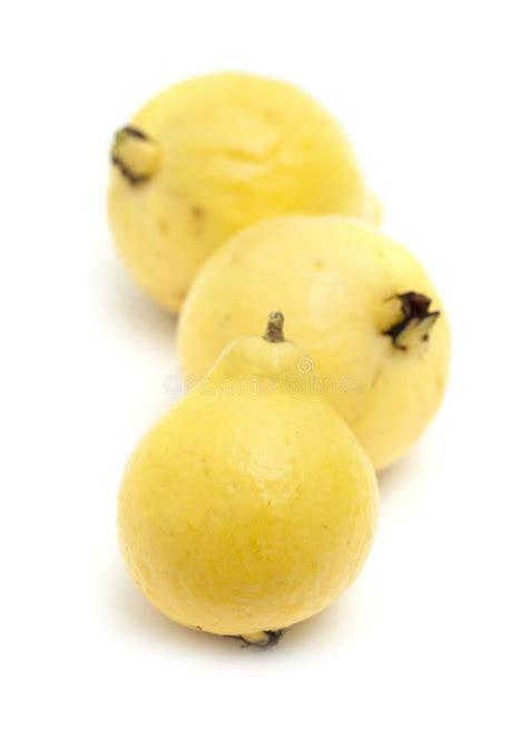 Yellow Guava Fruit Stock Photo Image Of Close Folic 63963896