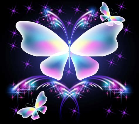 100 Colorful Butterfly Pictures Wallpapers