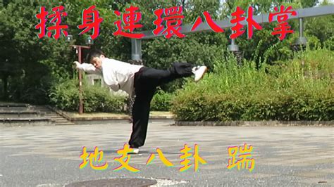 揉身連環八卦掌 地支八卦 第六段之二 踹 64 Palms Form Chuai Gao Style Baguazhang YouTube